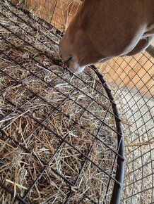 Kovový kryt na příkrmiště/ víko na příkrmiště - 17