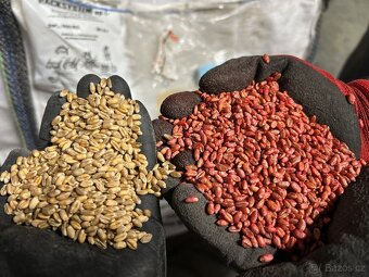 Mořička osiva VI-AGRO Big Bag 10t/h Nerez - 17