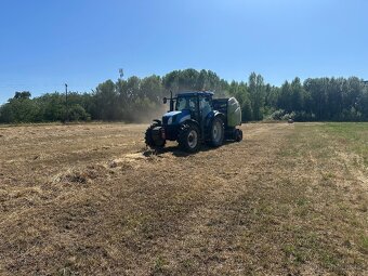 Lis s malým počtom balíkov - 17