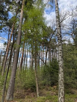 Prodám pozemky v katastrálním území Mníšek - 17
