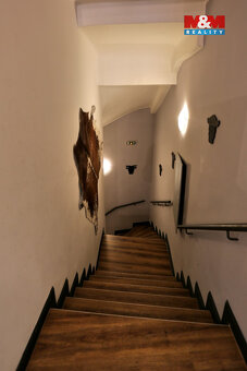 Prodej obchod a služby, 890 m², Olomouc, ul. Riegrova - 17