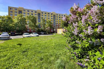 Prodej byty 3+1, 63 m2 - Chomutov, ev.č. 561 - 17