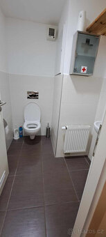 Ubytování, pobyt - apartmán, Špindlerův Mlýn, Krkonoše, hory - 17