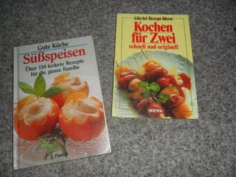 Bible FrJ, literatura USA, pohádky Sibiře RJ/AJ, kuchařky NJ - 17