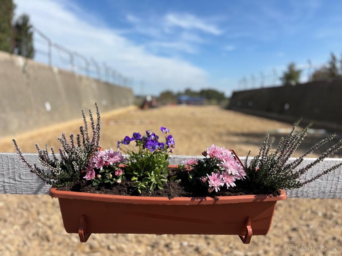 Ustájení a výcvik koní - 18