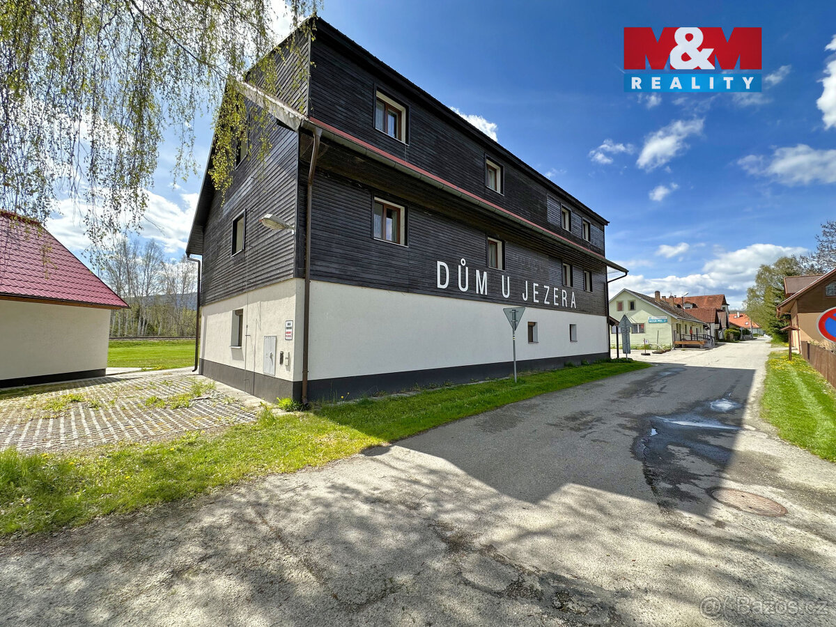 Prodej bytu 1+kk, 43 m², Nová Pec - 18