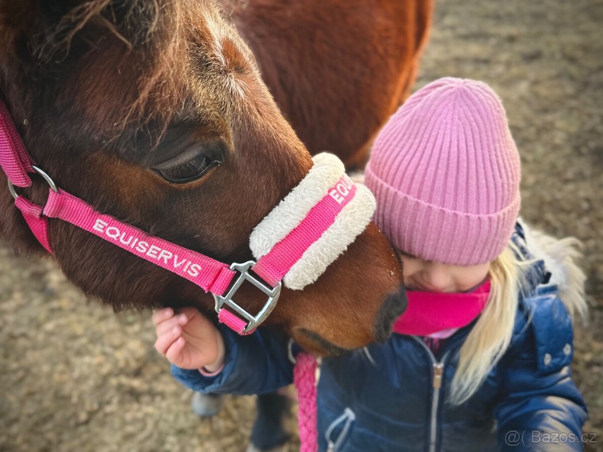 Hodná osmiletá ponička - 18