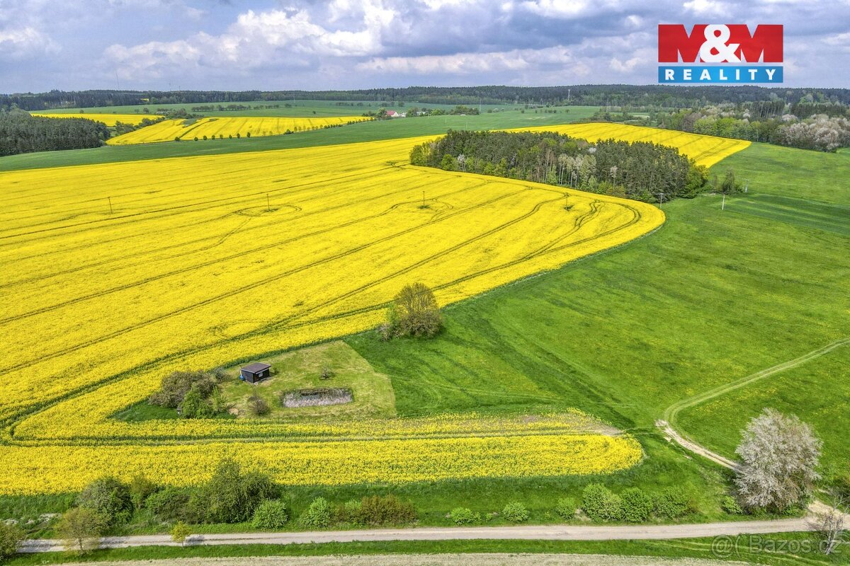 Prodej pole, 6672 m², Pláň, Ostrov u Bezdružic - 18