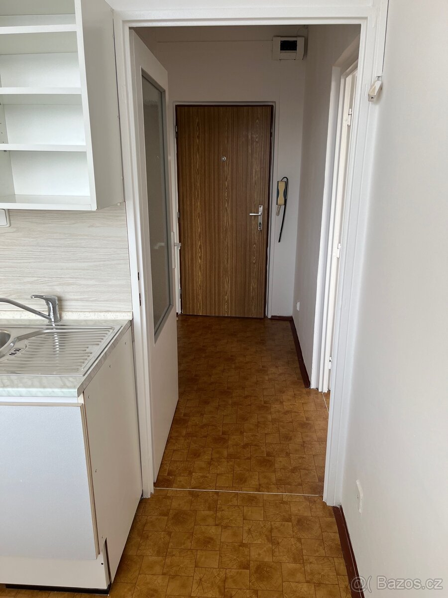 Pronájem bytu 1+1 Smiřice - 18