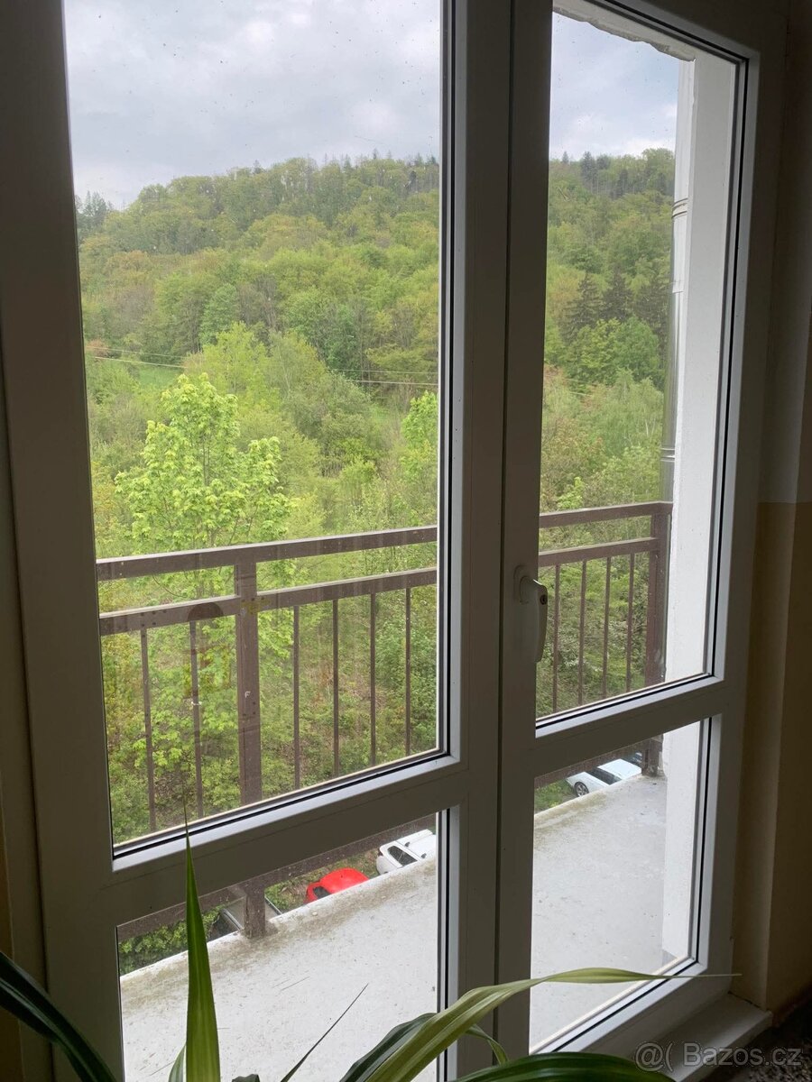 Prodej bytu 2+1 v Třemošnicích - 18