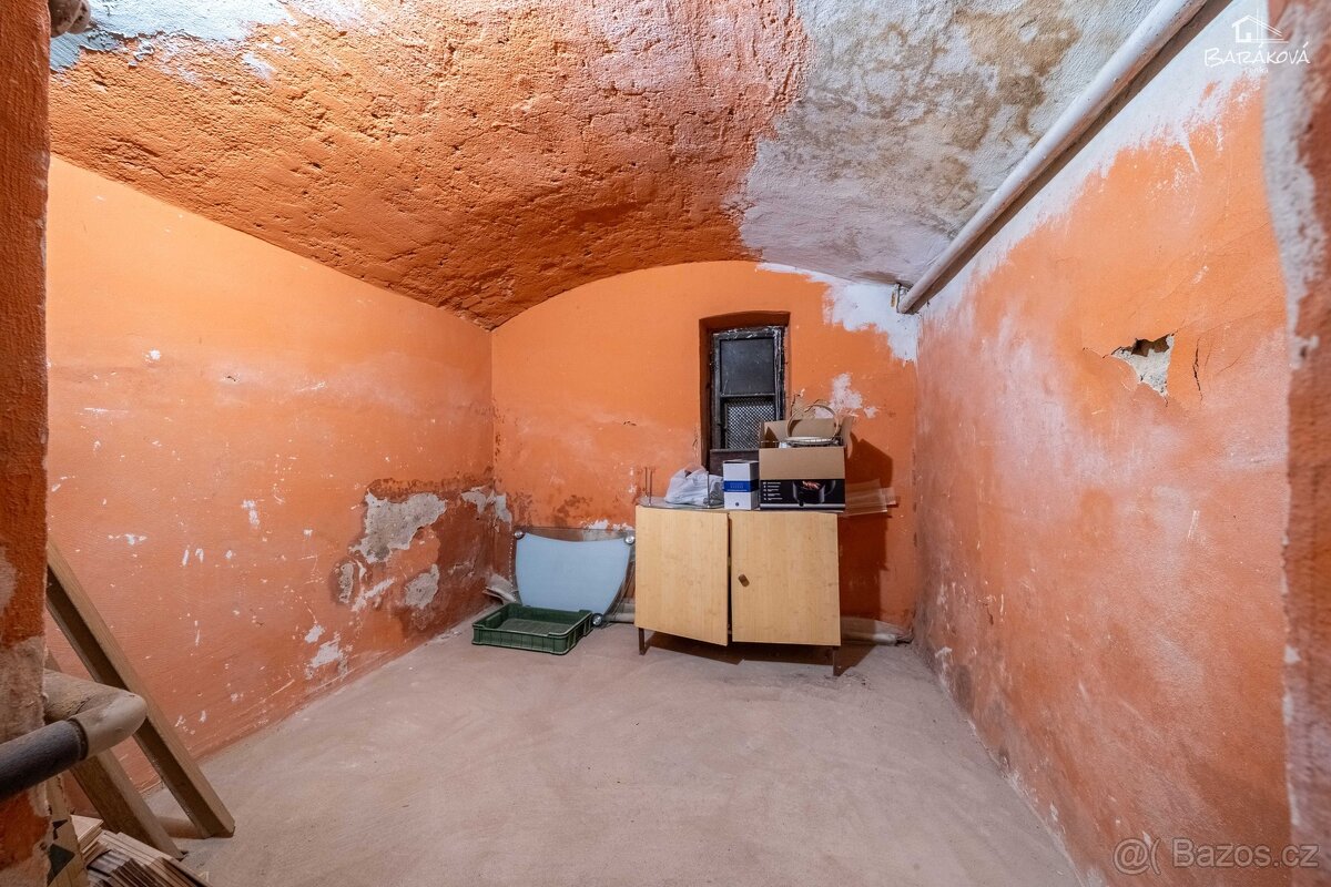 Pronájem bytu 2+kk 46 m², Plzeň - Jižní Předměstí - 18