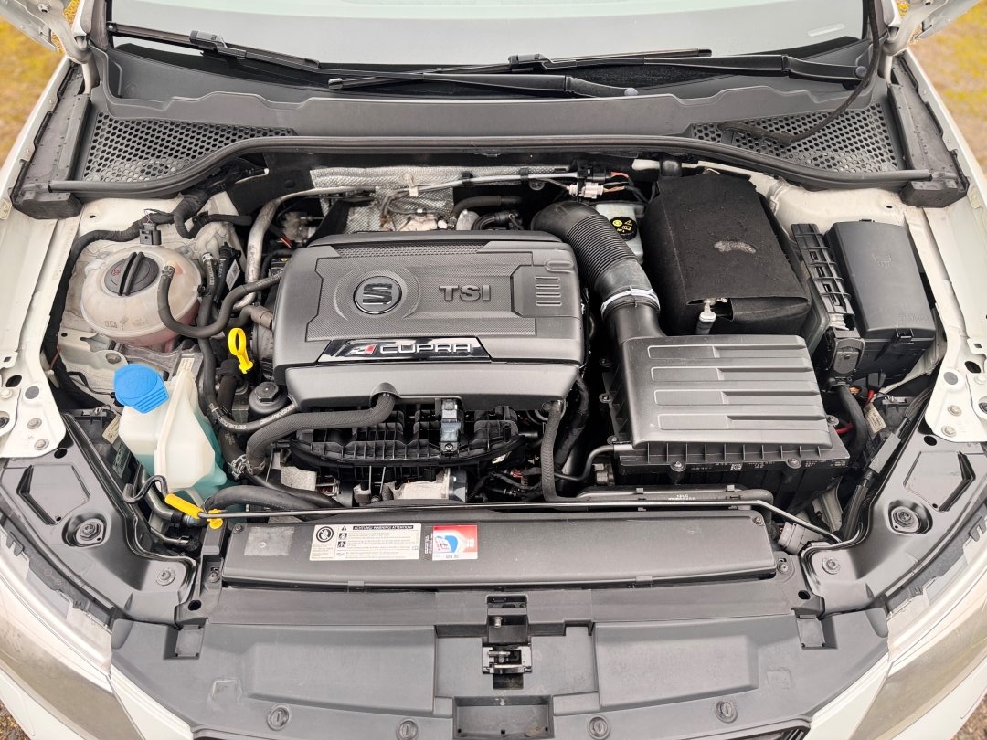 Seat Leon 2.0 TSI DSG Cupra 206 kw - 18