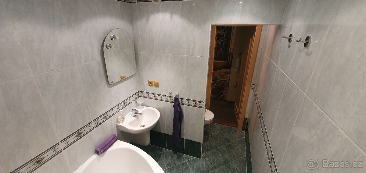 Družstevní byt 3+1+L, Kosmonautů, Teplice - 18