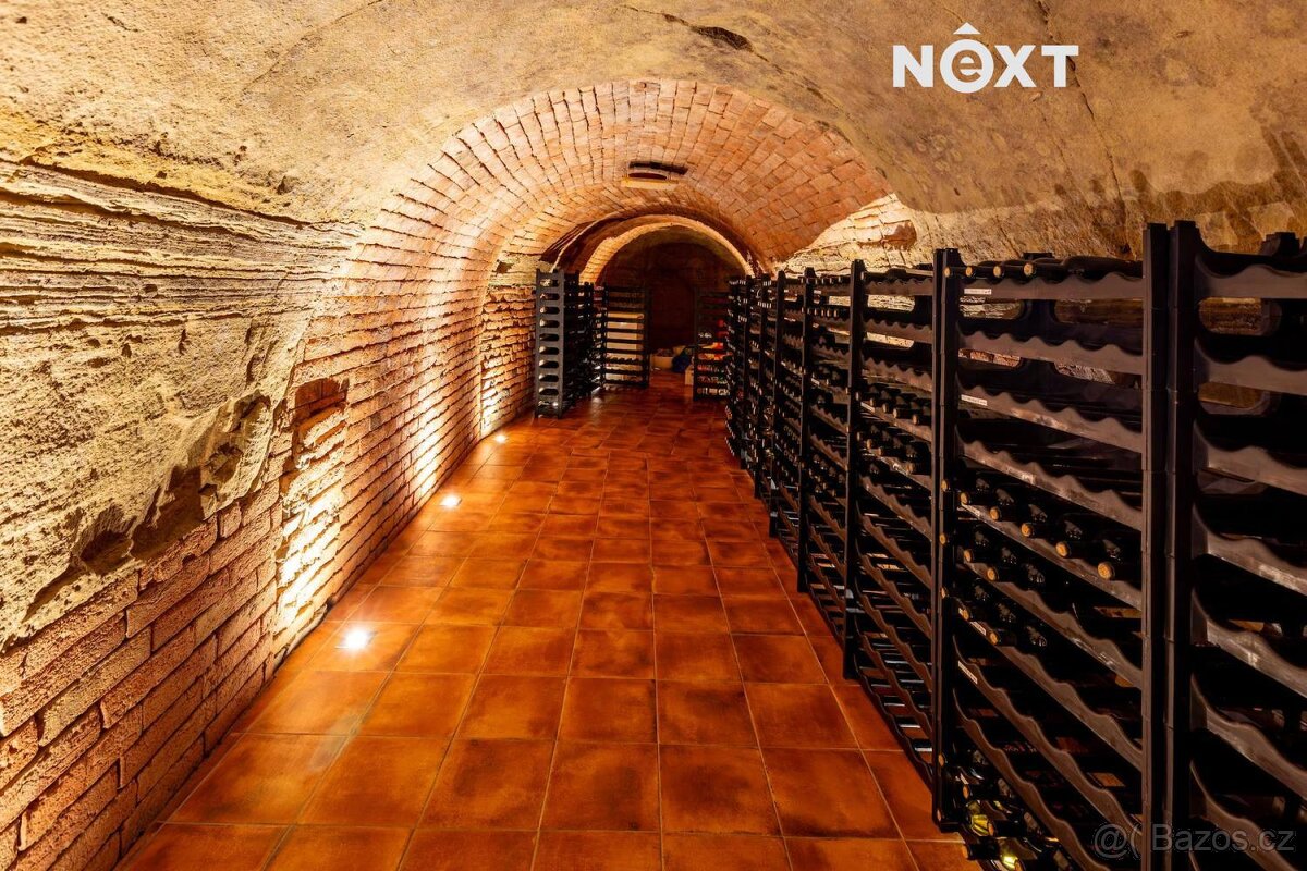 Prodej ostatní Vinný sklep, 80㎡ - 18