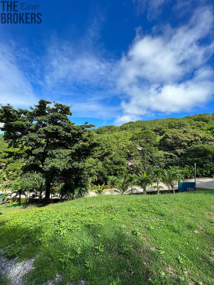 Diamond Hill Resort Lot#8D Diamond rock, Roatan - 18