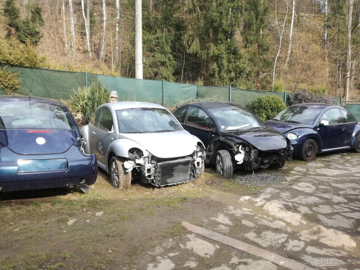 new beetle ND 98-2005 - 18