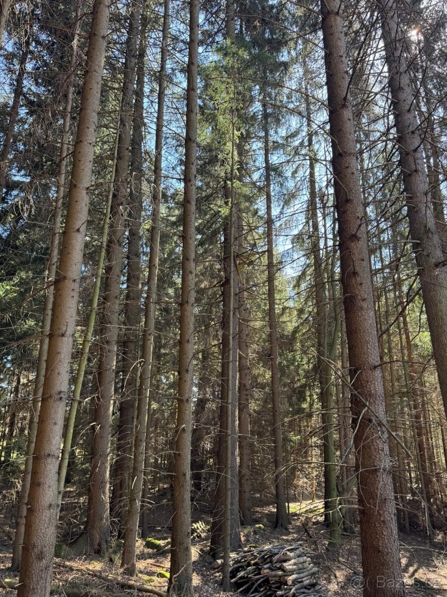Prodám pozemky v k.ú. Horní Bolíkov Studená, okres Jindřichů - 18