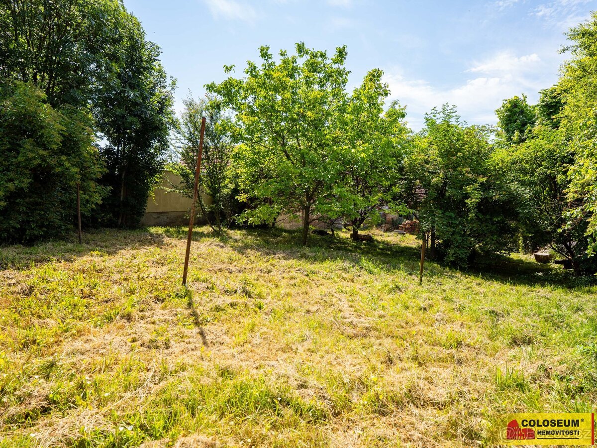 Bohdalice-Pavlovice, RD k celkové rekonstrukci, zahrada - ro - 18