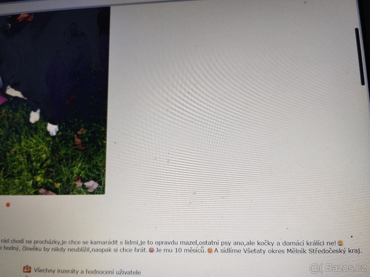 Pozor Pitbulové, kteří jsou útoční - 18