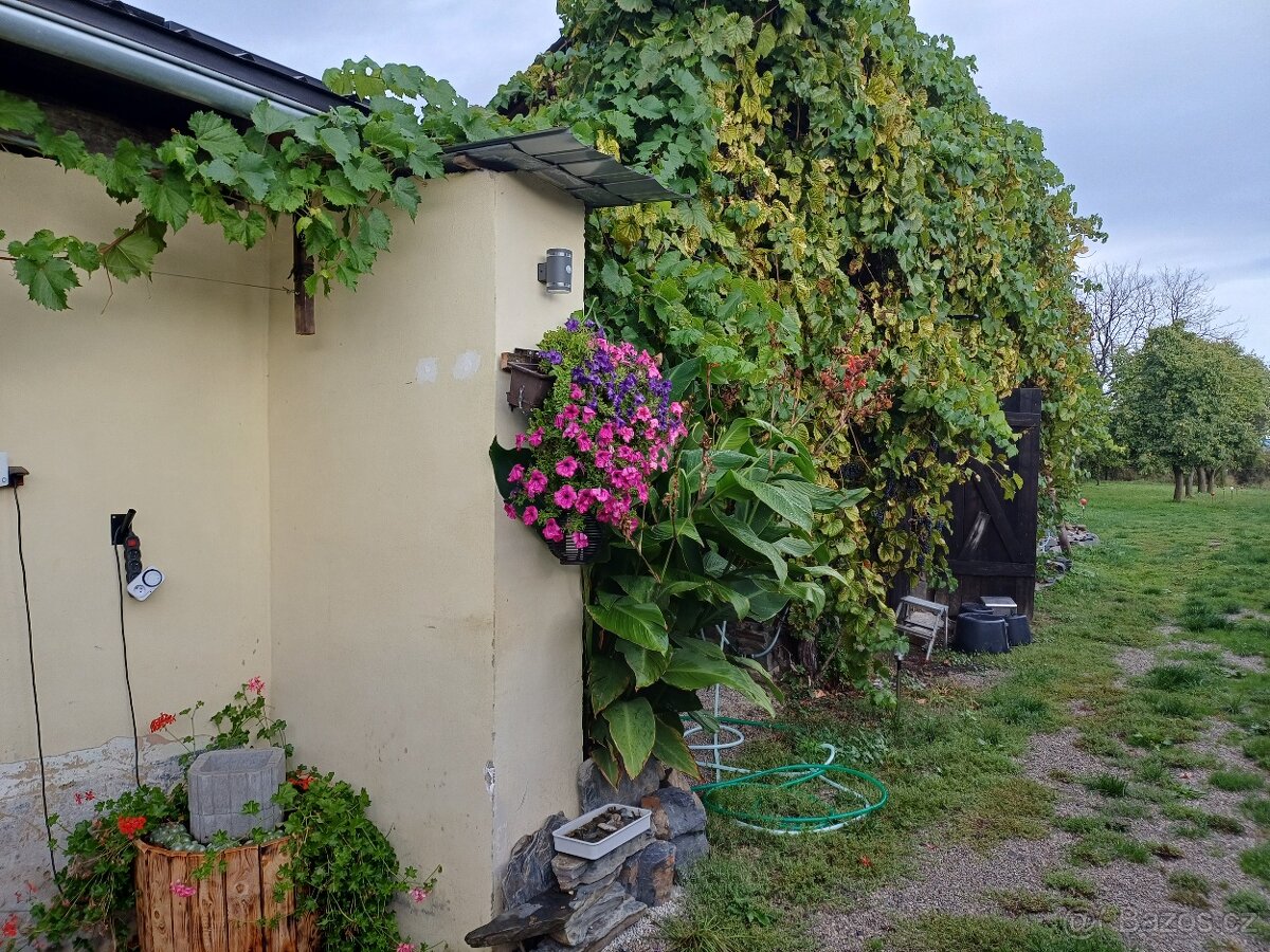 pronájem 3+1 Lipnik nad Bečvou Loučka - 18