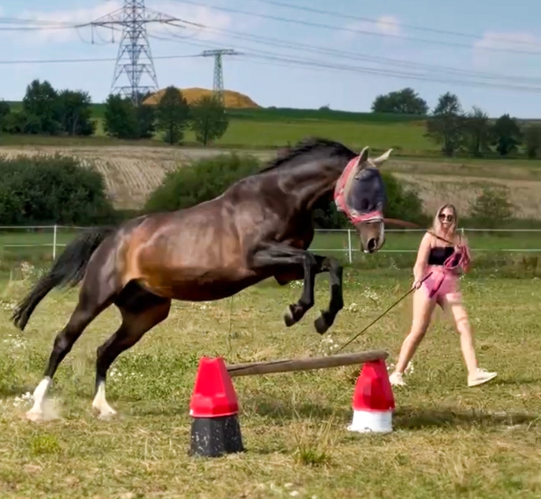 Pastevní ustájení v klidné rodinné stáji od JARA - 18