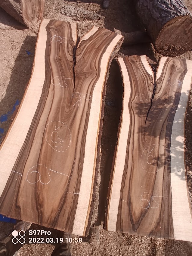 Super tmavé ořechové XXXL fošny a koláče - 18