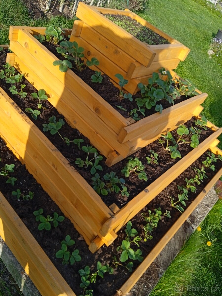 dřevěné vyvýšené zahradní záhony, květináče, jahodníky - 18