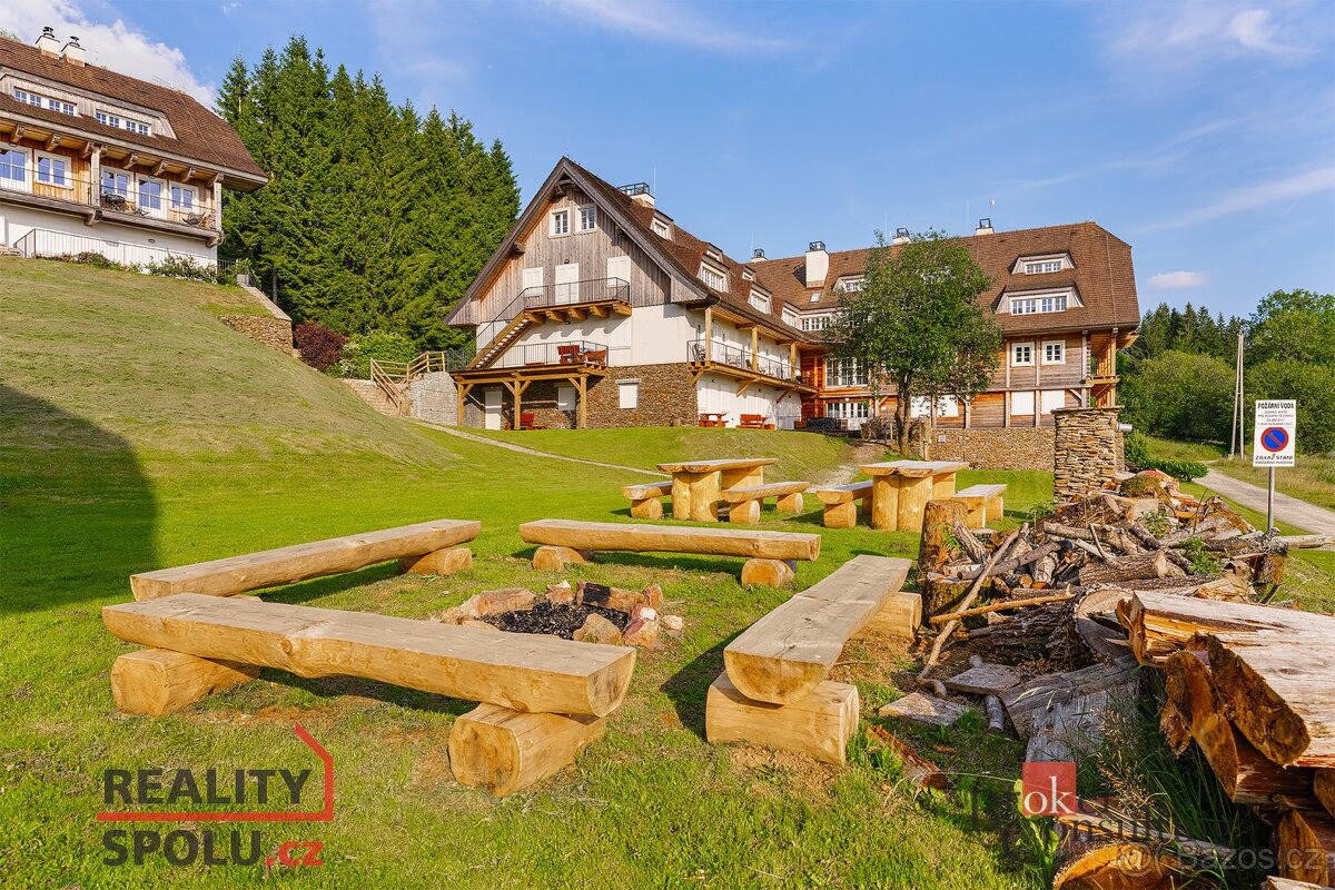 Prodej, byty/3+kk, 58 m2, Špičák 193, 34004 Železná Ruda, Kl - 18