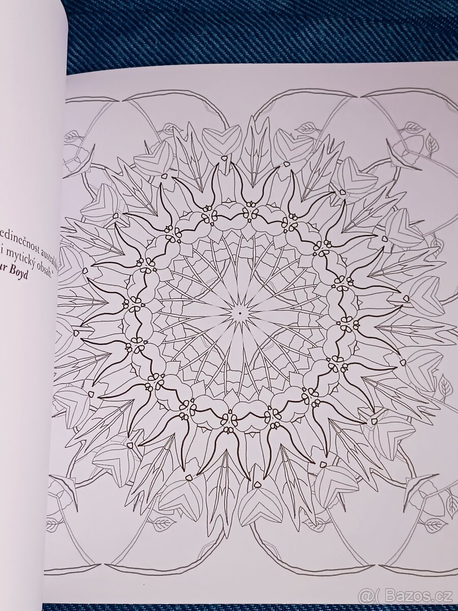 Omalovánky pro dospělé: Inspirativní a ............. - 18