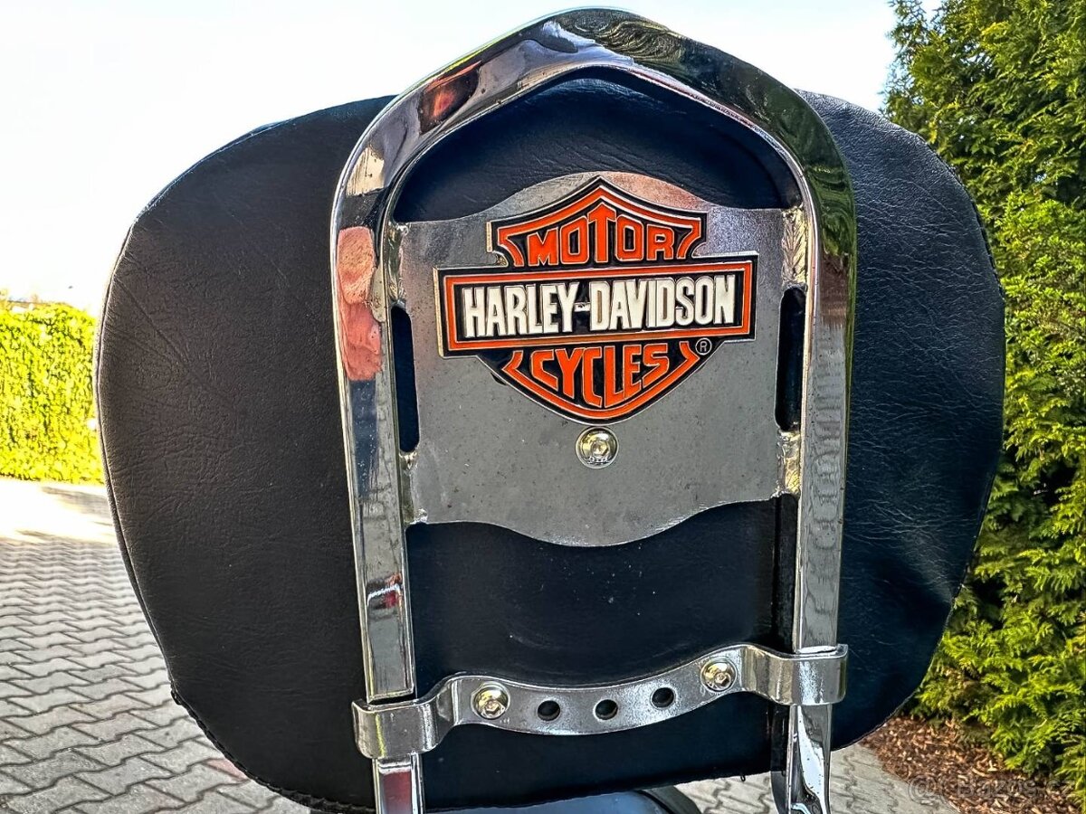 Harley Davidson XL 1200C - 18