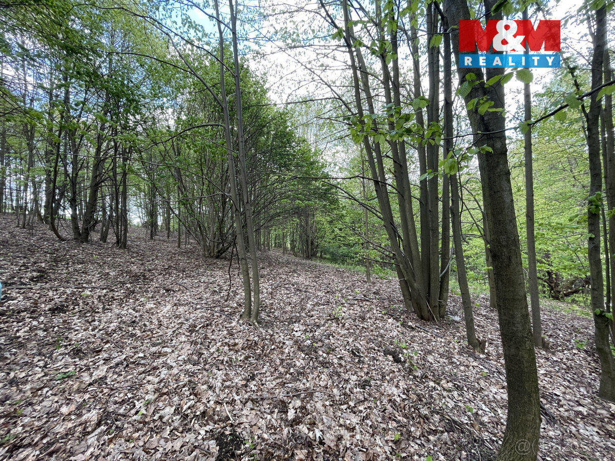 Prodej zahrady, 2545 m², Chrastava, Andělská Hora - 18