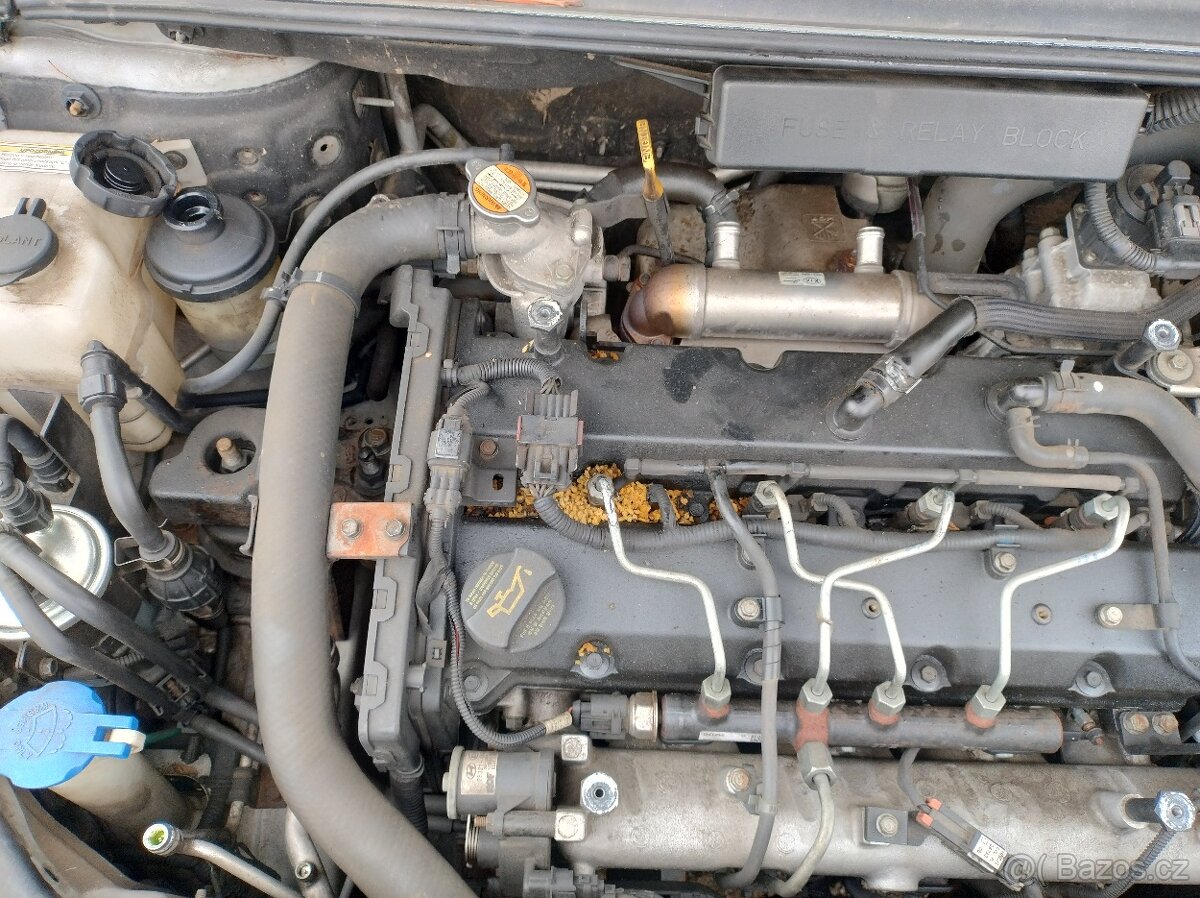 KIA Carnival III 2008 2,9CRDI 136kW J3 XENONY - DILY - 18