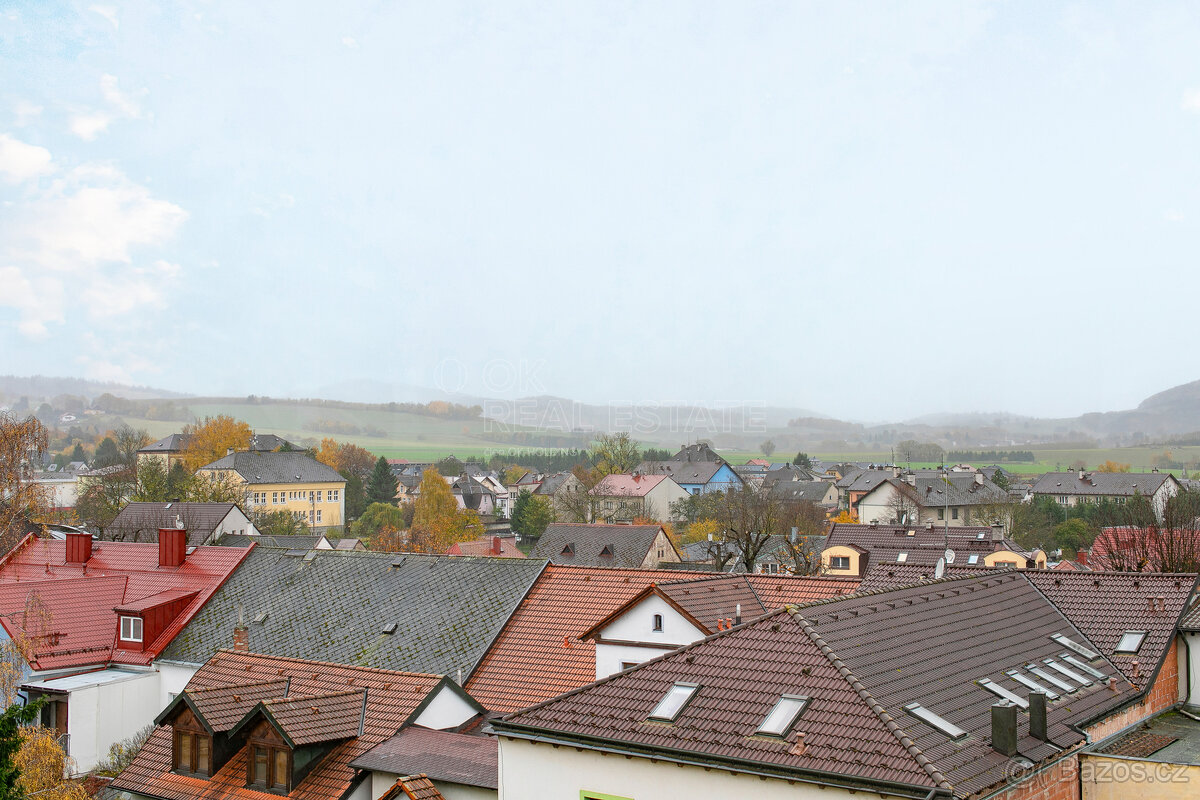 Prodej bytu 2 + 1, 64 m² Jiráskova, Nýrsko - 18