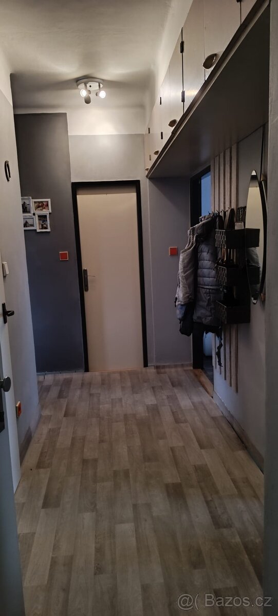 Byt 3+1 cihla Plzeň Bory Máchova ulice - 18