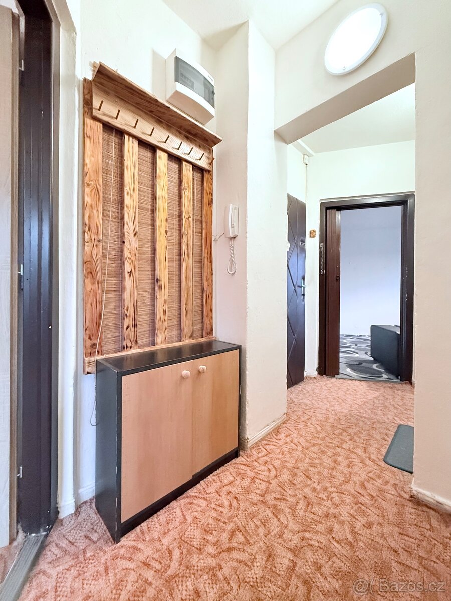 Prodej bytu 2+1, Ostrava - Hrabůvka - 18