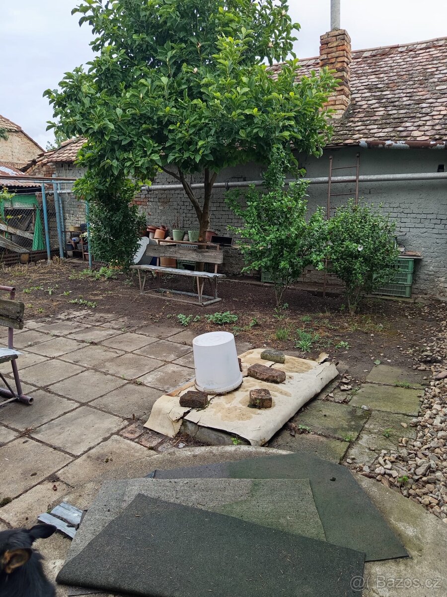 Prodej RD 3+1 v Hraběticich v blízkosti rakouských hranic - 18