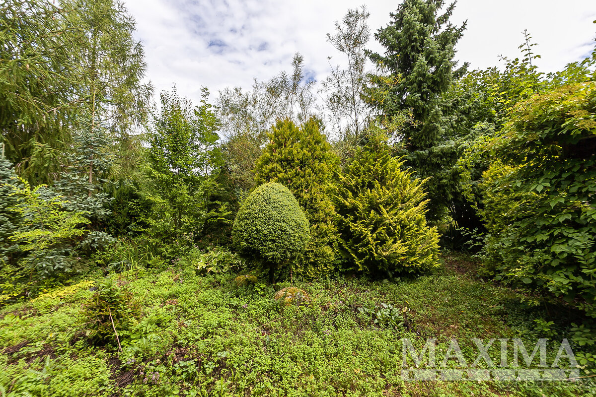 Pozemek o ploše 2621 m2 - Údrnice, Únětice - 18