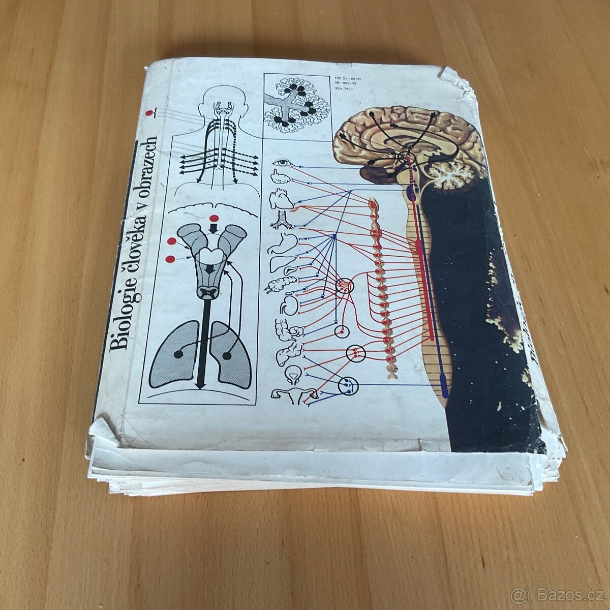 Retro- Biologie člověka v obrazech- A4 - 18