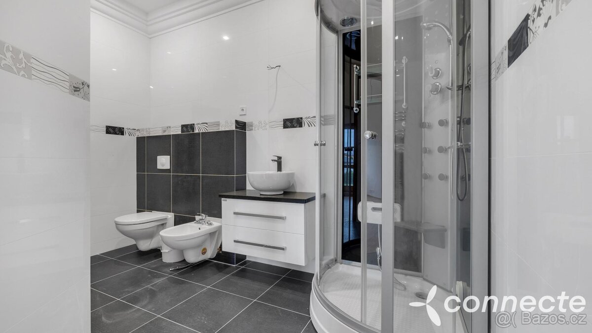 Velkorysý dům 9+kk s užitnou plochou 697 m2 Bezděkov u Žatc - 18