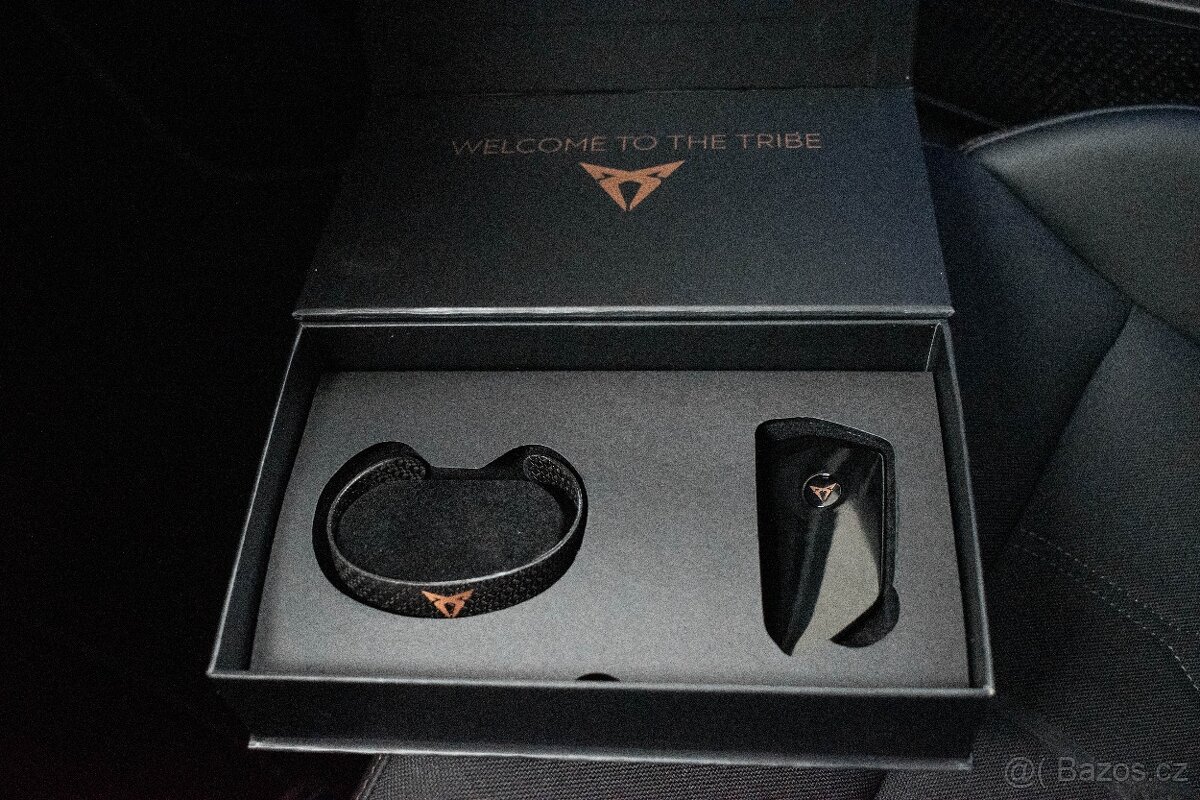 Cupra Leon TSI 228 VZ 4x4 ZÁRUKA 5let ČR - 18