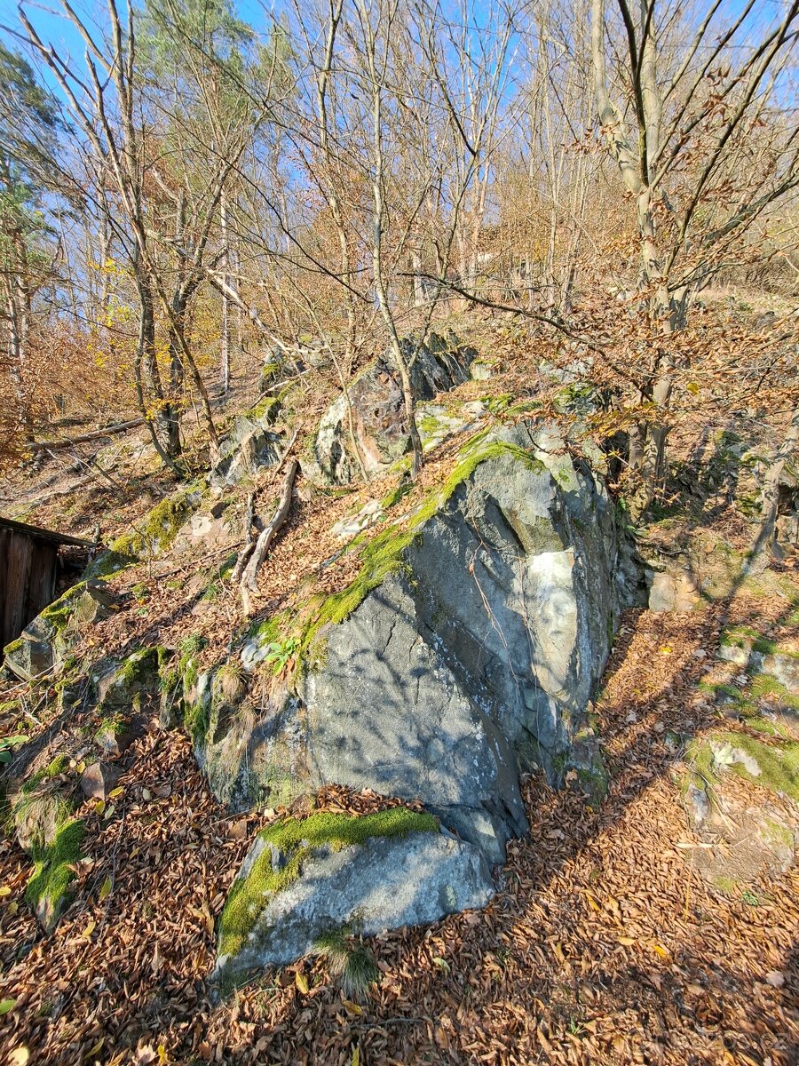 Srub nad Sázavou 3+kk, 74m2, pozemky 1140 m2, Kaliště - 18