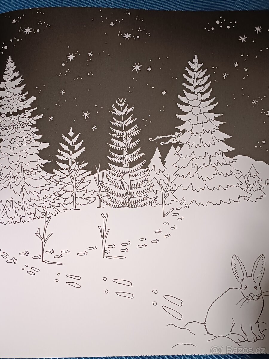 Omalovánky pro dospělé Exotický prales - 18