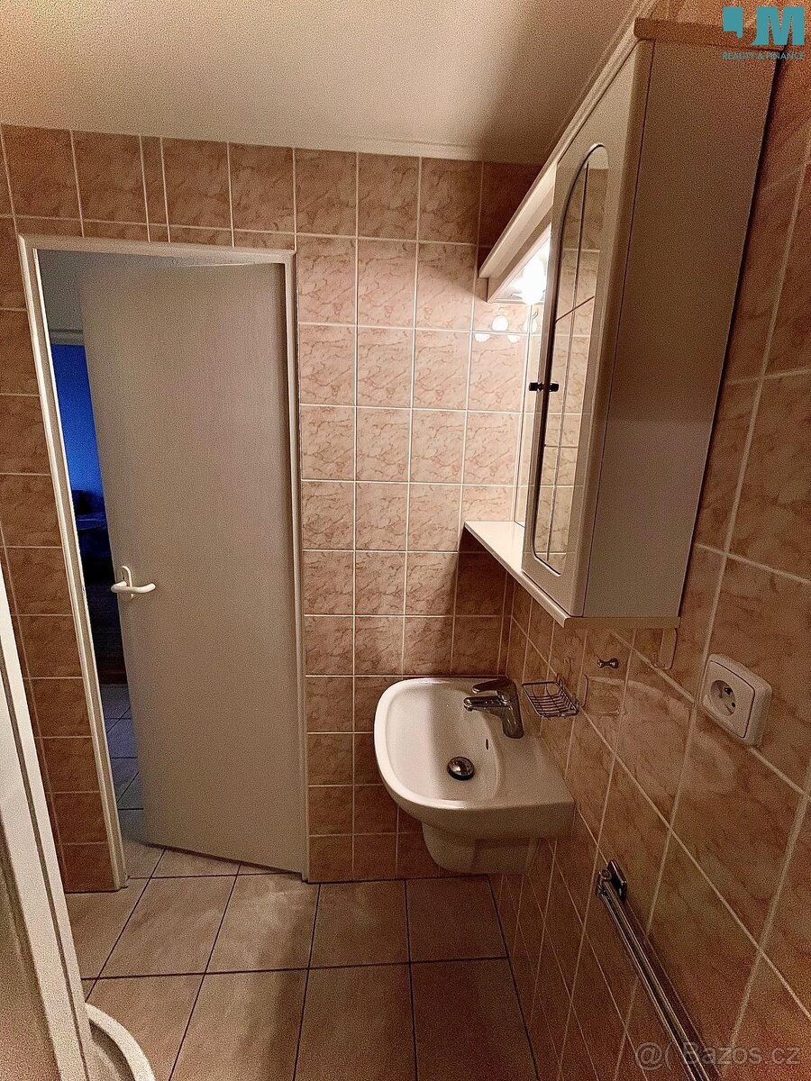 Pronájem bytu 1+1 41 m², Třebíč - Nové Dvory, ev.č. 01906 - 18