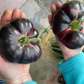 Pronájem zahrady v Plzni - Lobzy. Gril a rekreace. 1890 Kč - 18