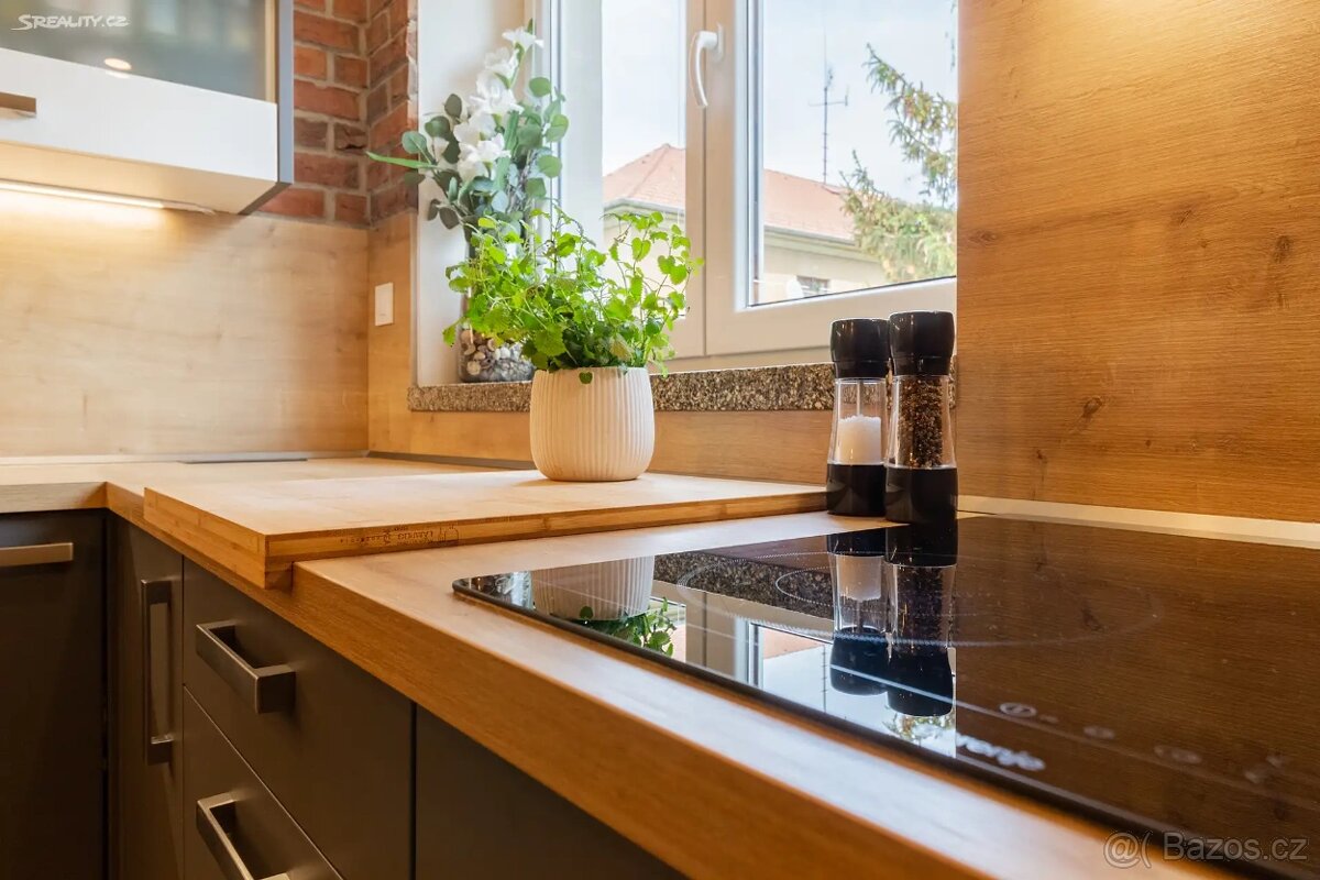 Pronájem bytu 2+1 65 m², Čéčova 34, České Budějovice 3 - 18