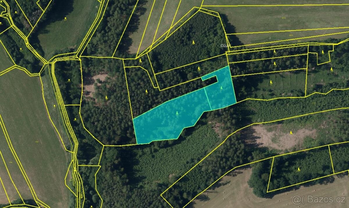 Prodám lesní pozemky v k.ú. Střemeníčko - 18