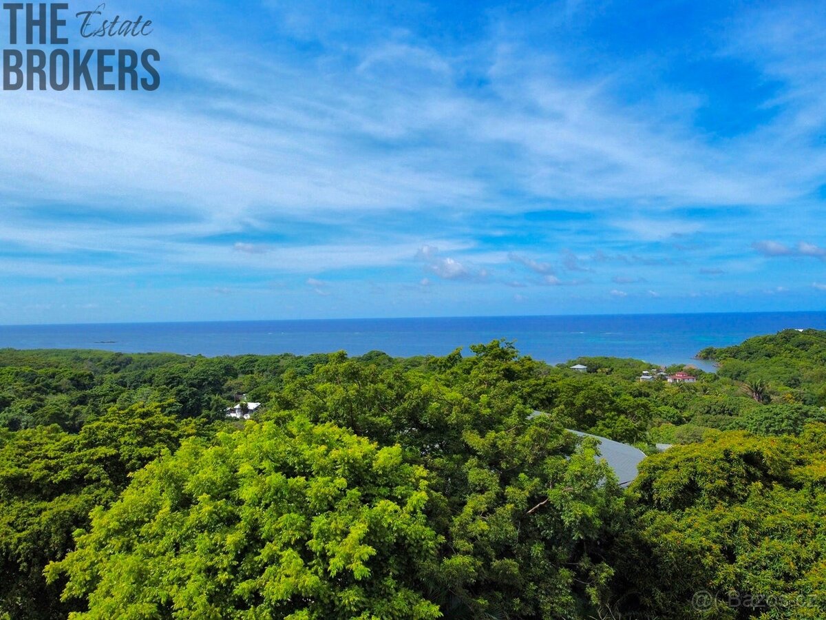 Diamond Ocean View Home - 18