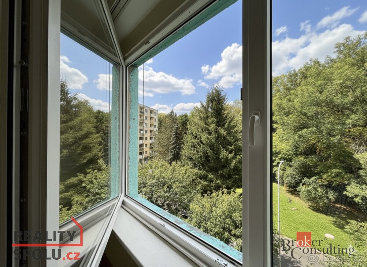 Prodej, byty/1+1, 43 m2, Školní 1507/6, 40502 Děčín, Děčín [ - 18