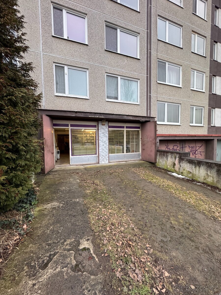 Prodej obchodních prostor - 18