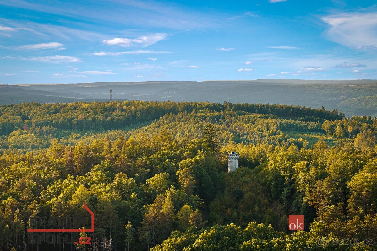 Prodej, pozemky/bydlení, 3833 m2, samota Na Vinici, Beroun-M - 18